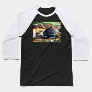 Tortoise Relaxation Time Baseball T-Shirt